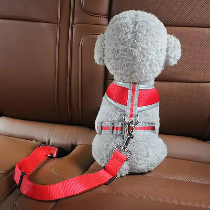 Dog seat belts