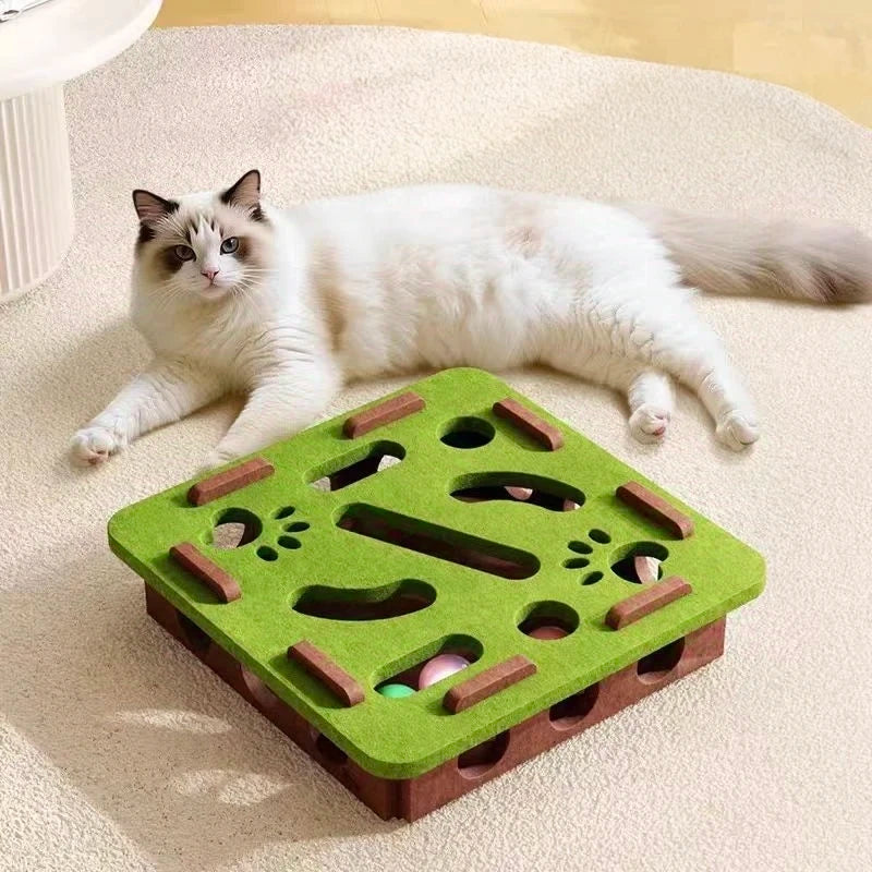 Pet Cat Puzzle Maze