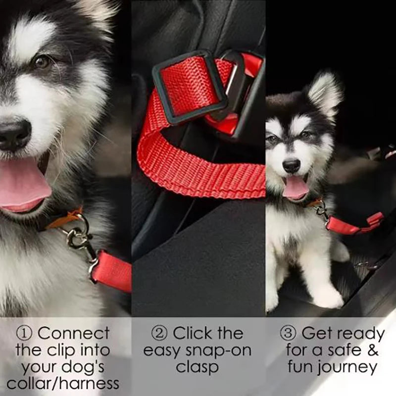 Dog seat belts