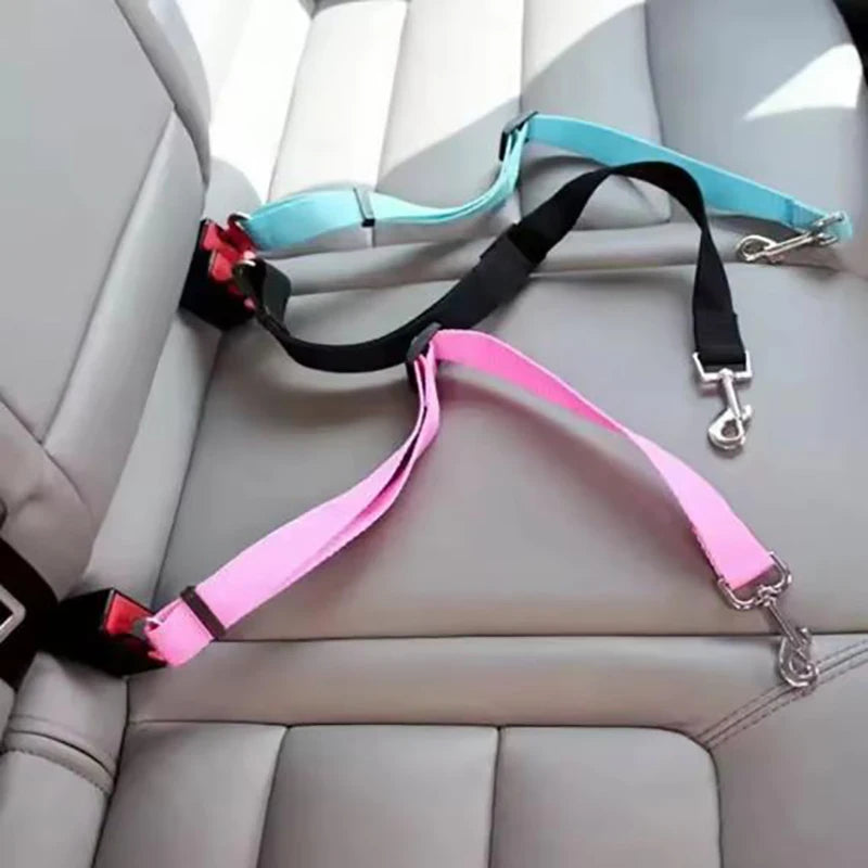 Dog seat belts