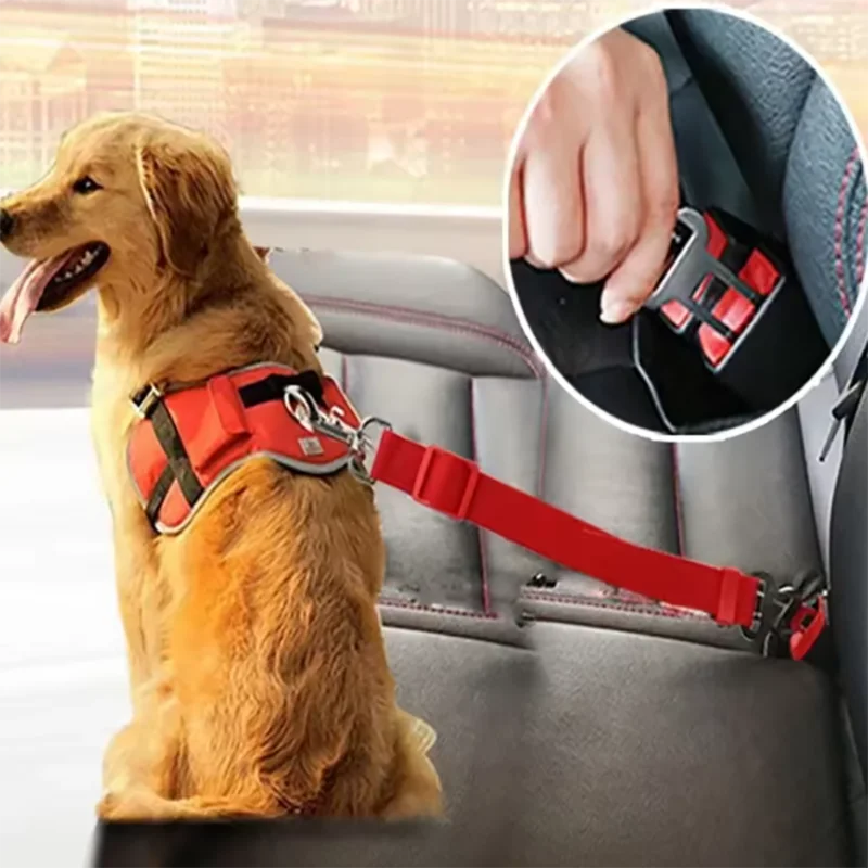 Dog seat belts