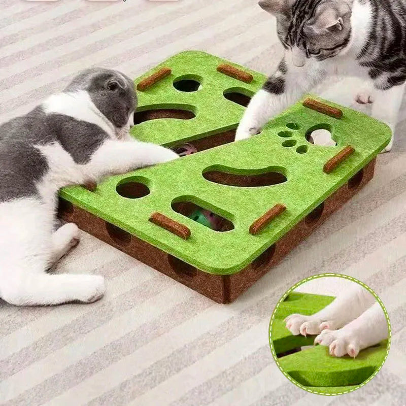 Pet Cat Puzzle Maze